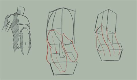 Torso Anatomy Drawing Torso Study By Stevegibson On Deviantart See