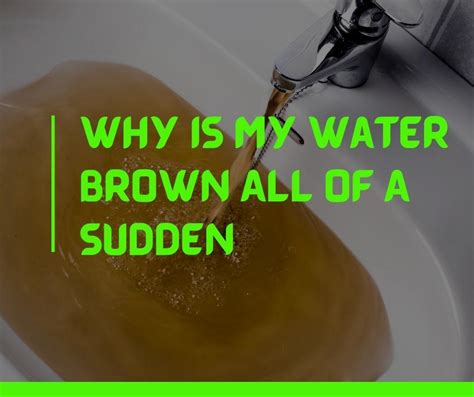 Why Is My Water Brown All Of A Sudden 7 Quick Fixes Quiet Home Life