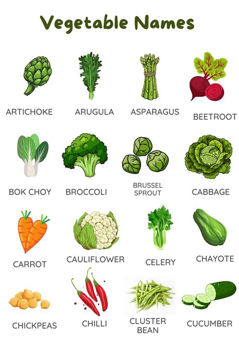 43 Popular Vegetable Names In English With Pictures Tpr Teaching