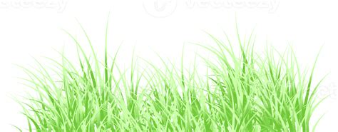 Green Grass Png 19873303 Png