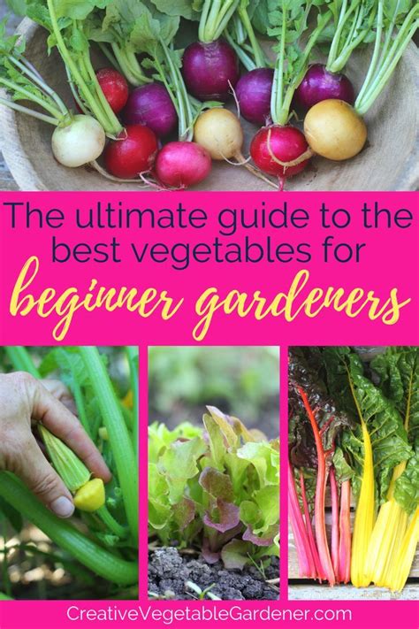 The Beginners Guide To 15 Easy Vegetables To Grow This Year Easy