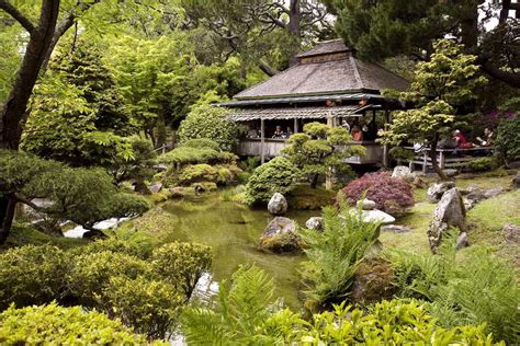 A Guide To The Japanese Tea Garden In Golden Gate Park