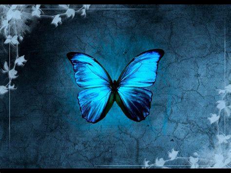 Free for commercial use high quality images. Blue Butterfly Wallpapers - Wallpaper Cave