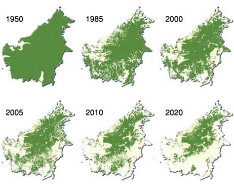 Gambar Peta Hutan Kalimantan Tahun 2030 Gambar Peta