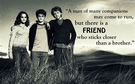 Harry Potter Friendship Quotes ShortQuotes Cc