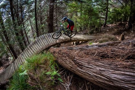 Guide To Some Of The Best Mountain Biking In New Zealand Wairoa Gorge