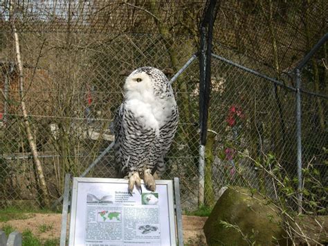 Ein weiterer schwerpunkt ist südamerika. Ausflugsziel Zoologischer Garten Hof - Hof | Frankenradar