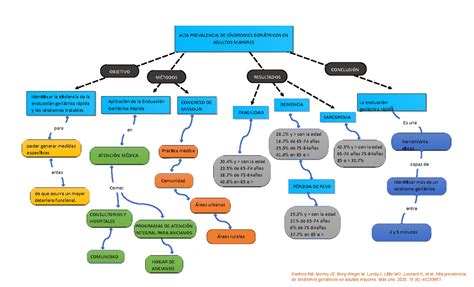 Mapa Conceptual Alta Prevalencia De S Ndromes Geri Tricos En Adultos