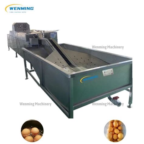 Automatic Egg Washing Machine Automatic Egg Washer Egg Washing Equipment Wm Machinery