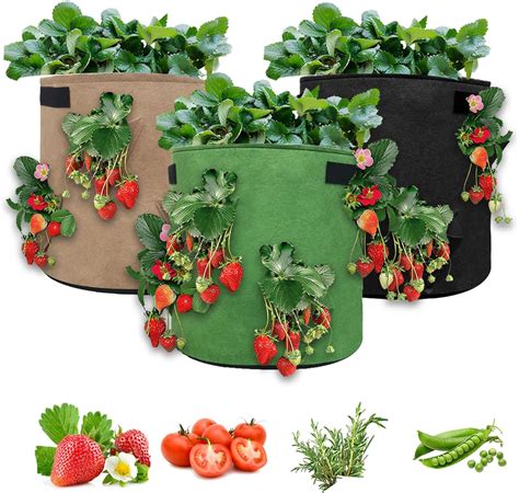 24 Best Grow Bags For Strawberry In 2022 According To 351 Experts