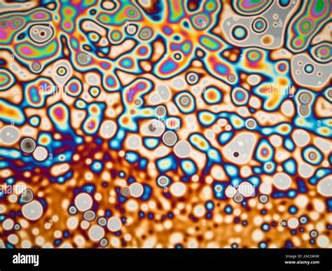 Interference Pattern Light Micrograph Of Interference Patterns On A