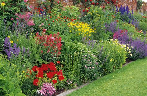 Créer Un Massif Pour 3 Fois Rien Avec Des Vivaces Détente Jardin