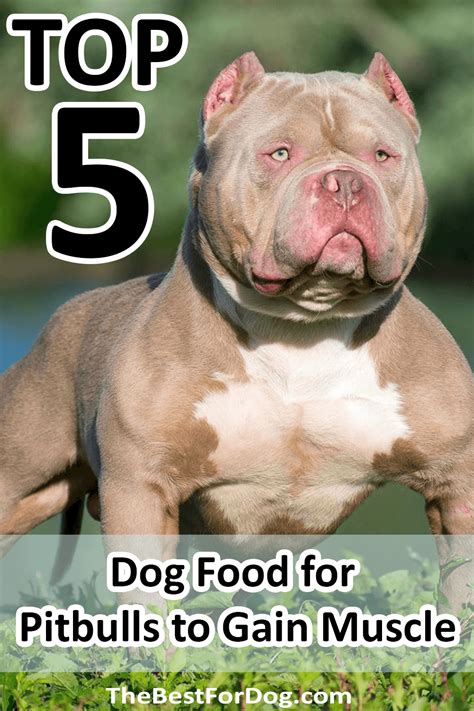 Hypoallergenic royal canin hydrolyzed protein dog food 5.2. 5 Best Dog Food Pitbulls To Gain Muscle Tested in 2021 ...