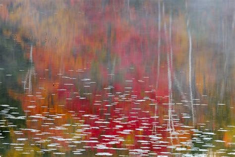 Canadian Autumn Landscape Photograph By Don Johnston Fine Art America