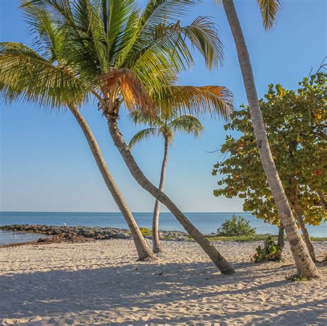 The Best Beaches In Key West Florida Key West Beaches Key West Key