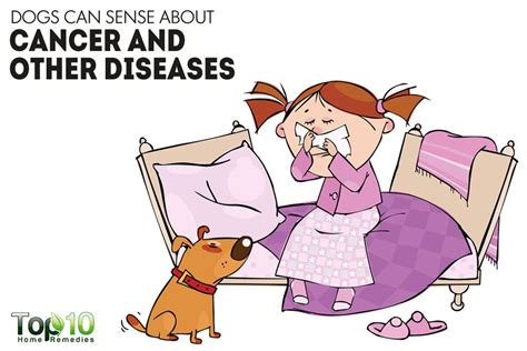 How long can a dog live with cancer of the liver? 10 Incredible Things Your Dog can Sense about You | Top 10 ...