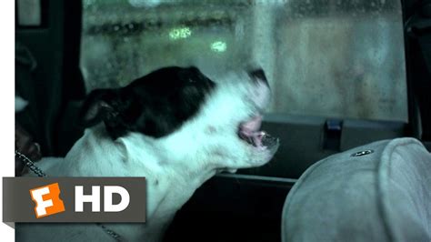 Squeaky Dog Snatch 38 Movie Clip 2000 Hd Youtube