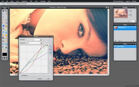Fotoflexer is a free, easy, and powerful online photo editor. Edit Photos Online with Best Free Online Photo Editors