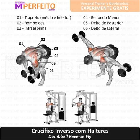Crucifixo Em Pé Com Halteres