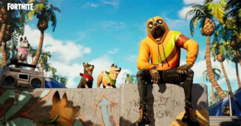 Fortnite Doggo Skin Set And Styles Gamewith