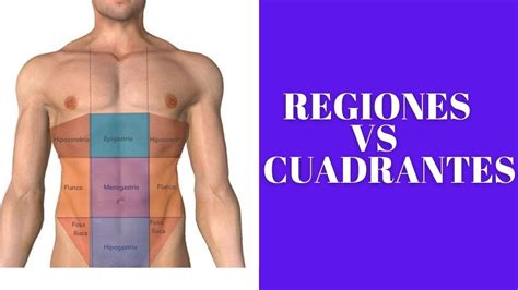 Regiones Del Abdomen Vs Cuadrantes Del Abdomen Youtube