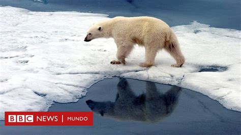 Cambio Climático ¿por Qué El Mundo Está En Una Etapa Crucial Para Su