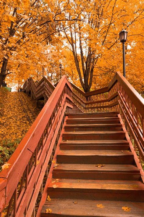Wooden Stairs With Leaves In The Autumn Forest Stock Photo Image Of
