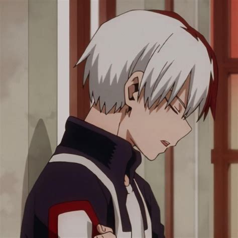 Matching Icons Todoroki Aesthetic Pfp