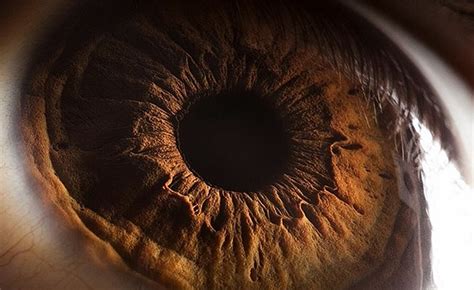 Check Out These Stunning Close-Up Photos Of The Human Eye - Another ...