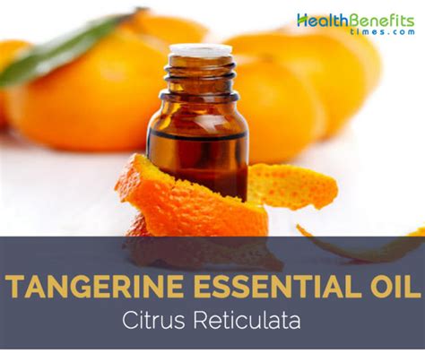 Tangerine Essential Oil Facts And Health Benefits