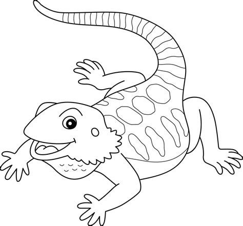 Bearded Dragon Animal Isolated Coloring Page 20088442 Vector Art at