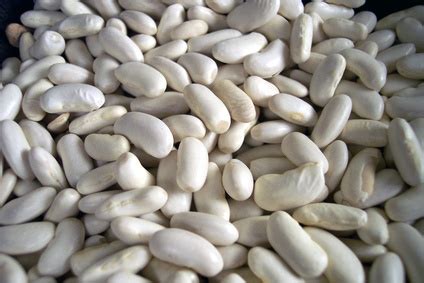 Vegan great northern beans / vegan great northern white beans & be smart do the. rice | inHer Glam
