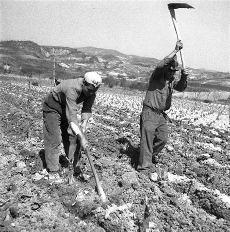 Two Men Are Working In The Field With Shovels