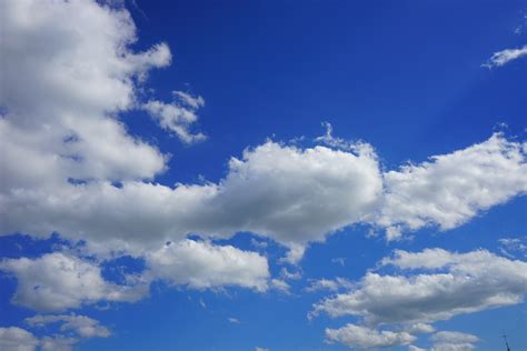 무료 이미지 수평선 하늘 화이트 햇빛 빗방울 낮 적운 푸른 여름날 기상 현상 여름 구름 지구의 분위기