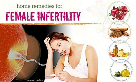 18 Natural Home Remedies For Female Infertility Problems Sterility