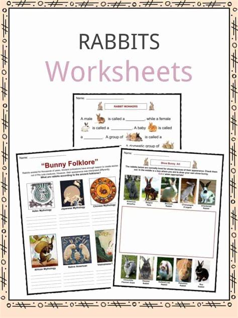 Rabbit Facts, Worksheets & Specie Information For Kids