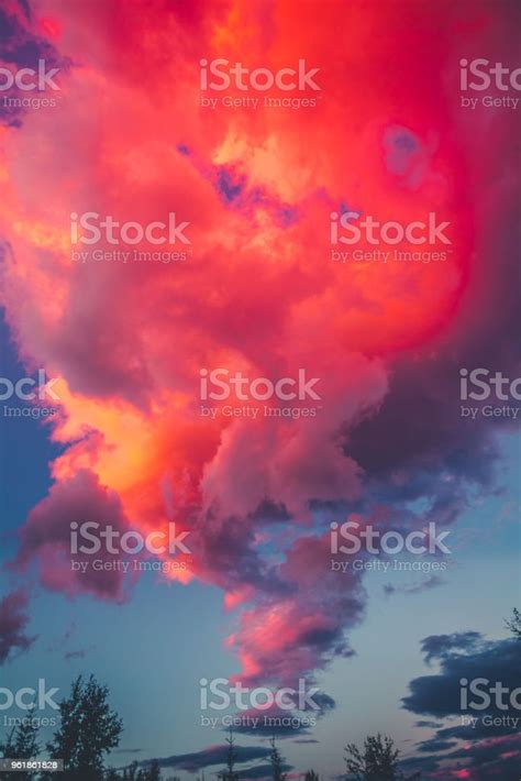 Dramatic Sunset Pink Sky Background With Clouds Stock Photo Download