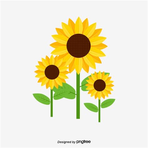 Clipart Sunflower Pictures 20 Free Cliparts Download