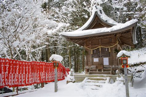 Free Images Snow Japan Winter Shinto Shrine Tree Temple