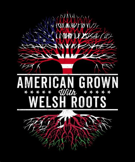 American Grown Welsh Roots Flag Digital Art By Kasper Holck Fine Art