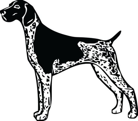 Free German Shorthaired Pointer Silhouette Download Free German