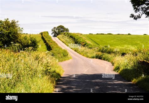 Small Country Farm Road Between The Fields Hi Res Stock Photography And