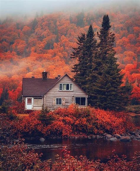 Fire Foliage With A Log Cabin Down By The River ↠credit Jayeffex ↠