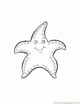 Coloring Star Sea Starfish Fish Printable Shells Supercoloring Animals Crafts Coloringpages101 Frogs Reptiles Drawing sketch template