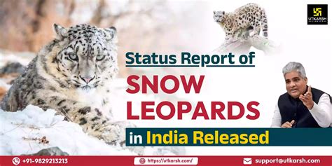 India's Status Report of Snow Leopards, Population Grows
