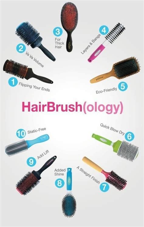 Types Of Hair Brushes And Their Uses Types Of Hair Brushes Beauty
