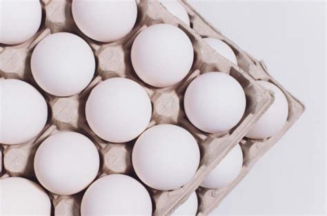 Dan karena yakin telur ayam kampung memiiki kandungan gizi yang baik, kebanyakan orang. 11 Manfaat Telur Ayam Kampung bagi Kesehatan (Lengkap)