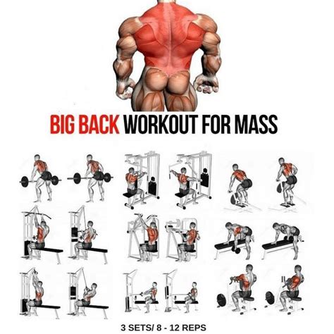 Big Back Workout Step By Step Tutorial Back Workout For Mass Big Back Workout Gym Workout Chart
