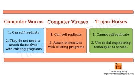 Virus Worms And Trojans