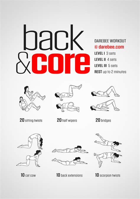 Back And Core Workout